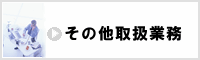 その他コンサルティング分野